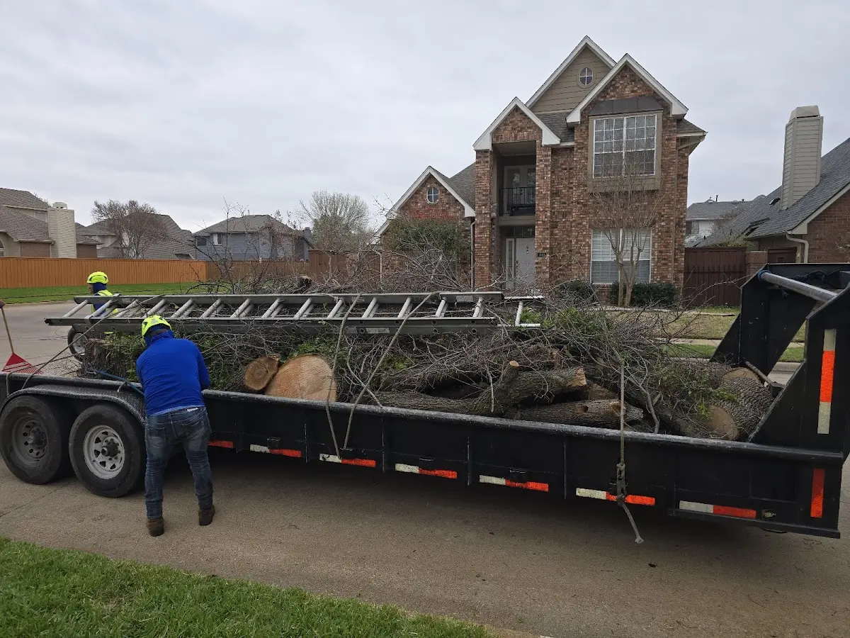 Expert Tree Fertilization with proper safety equipment in Equality
